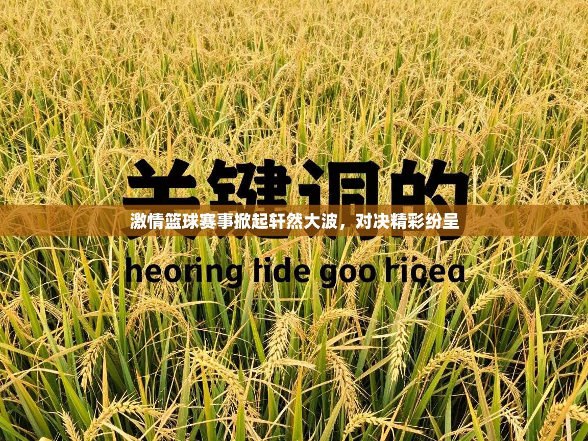 激情篮球赛事掀起轩然大波,对决精彩纷呈 第2张